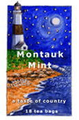 Montauk Mint Tea